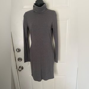 Fashion nova long sleeve turtleneck dress